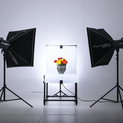 Phim trường và studio khác nhau như thế nào